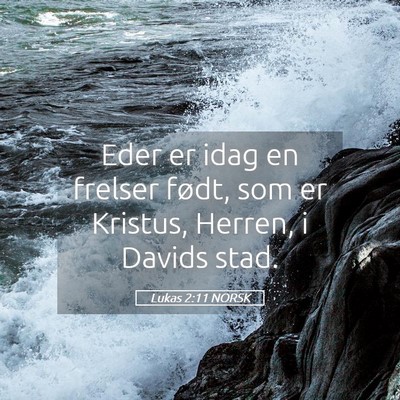 Picture 05 - Lukas 2:11 NORSK - Eder er idag en frelser født, som er Kristus, - Bible Verse Picture