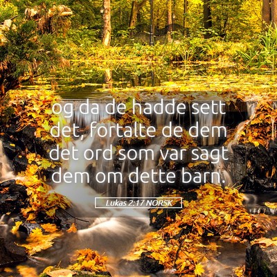 Picture 05 - Lukas 2:17 NORSK - og da de hadde sett det, fortalte de dem det ord - Bible Verse Picture