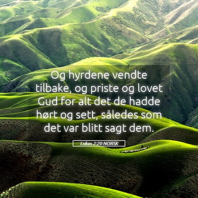 Picture 05 - Lukas 2:20 NORSK - Og hyrdene vendte tilbake, og priste og lovet Gud - Bible Verse Picture