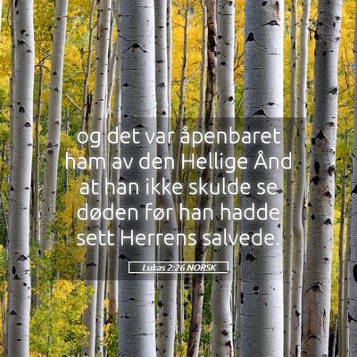 Picture 05 - Lukas 2:26 NORSK - og det var åpenbaret ham av den Hellige Ånd at - Bible Verse Picture