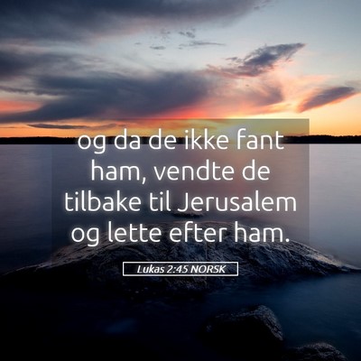Picture 05 - Lukas 2:45 NORSK - og da de ikke fant ham, vendte de tilbake til - Bible Verse Picture