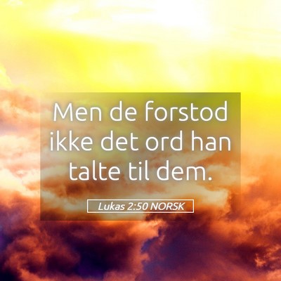Picture 05 - Lukas 2:50 NORSK - Men de forstod ikke det ord han talte til - Bible Verse Picture