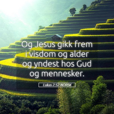 Picture 05 - Lukas 2:52 NORSK - Og Jesus gikk frem i visdom og alder og yndest - Bible Verse Picture