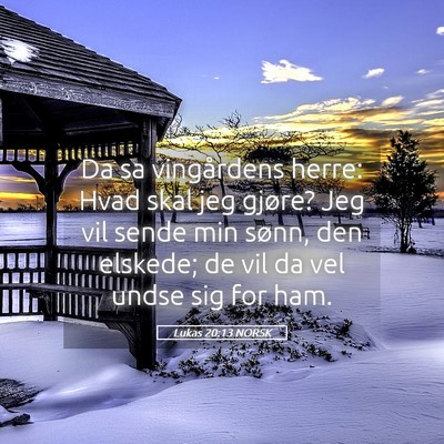 Picture 05 - Lukas 20:13 NORSK - Da sa vingårdens herre: Hvad skal jeg gjøre? - Bible Verse Picture