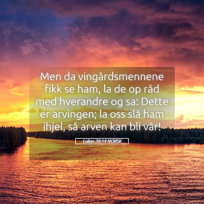 Picture 05 - Lukas 20:14 NORSK - Men da vingårdsmennene fikk se ham, la de op - Bible Verse Picture