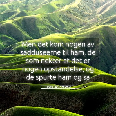 Picture 05 - Lukas 20:27 NORSK - Men det kom nogen av sadduseerne til ham, de som - Bible Verse Picture
