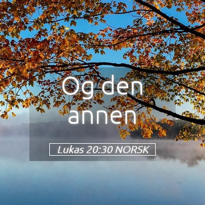 Picture 05 - Lukas 20:30 NORSK - Og den - Bible Verse Picture