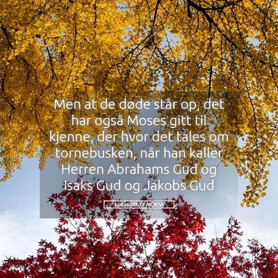 Picture 05 - Lukas 20:37 NORSK - Men at de døde står op, det har også Moses - Bible Verse Picture