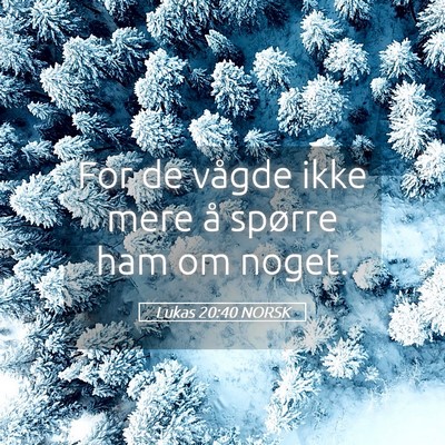 Picture 05 - Lukas 20:40 NORSK - For de vågde ikke mere å spørre ham om - Bible Verse Picture
