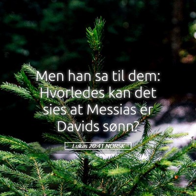 Picture 05 - Lukas 20:41 NORSK - Men han sa til dem: Hvorledes kan det sies at - Bible Verse Picture