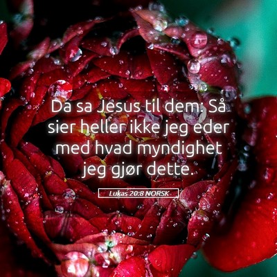 Picture 05 - Lukas 20:8 NORSK - Da sa Jesus til dem: Så sier heller ikke jeg - Bible Verse Picture