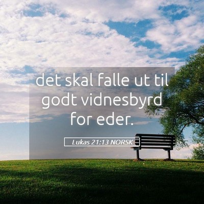 Picture 05 - Lukas 21:13 NORSK - det skal falle ut til godt vidnesbyrd for - Bible Verse Picture
