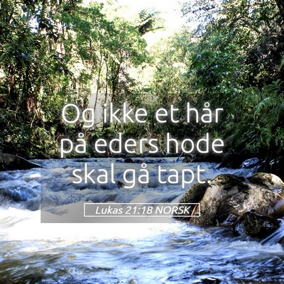Picture 05 - Lukas 21:18 NORSK - Og ikke et hår på eders hode skal gå - Bible Verse Picture