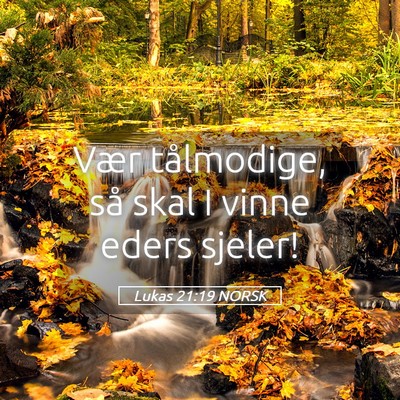 Picture 05 - Lukas 21:19 NORSK - Vær tålmodige, så skal I vinne eders - Bible Verse Picture
