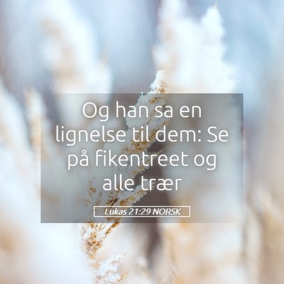 Picture 05 - Lukas 21:29 NORSK - Og han sa en lignelse til dem: Se på fikentreet - Bible Verse Picture