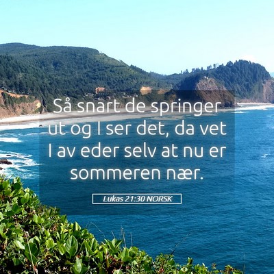 Picture 05 - Lukas 21:30 NORSK - Så snart de springer ut og I ser det, da vet I - Bible Verse Picture