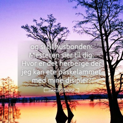 Picture 05 - Lukas 22:11 NORSK - og si til husbonden: Mesteren sier til dig: Hvor - Bible Verse Picture
