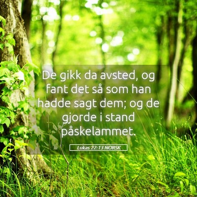 Picture 05 - Lukas 22:13 NORSK - De gikk da avsted, og fant det så som han hadde - Bible Verse Picture