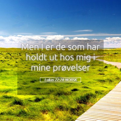 Picture 05 - Lukas 22:28 NORSK - Men I er de som har holdt ut hos mig i mine - Bible Verse Picture