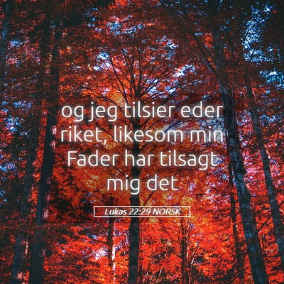 Picture 05 - Lukas 22:29 NORSK - og jeg tilsier eder riket, likesom min Fader har - Bible Verse Picture