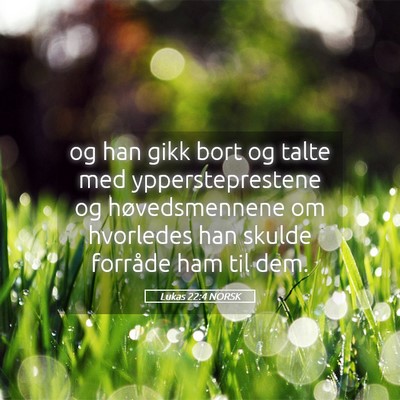 Picture 05 - Lukas 22:4 NORSK - og han gikk bort og talte med yppersteprestene og - Bible Verse Picture