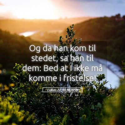 Picture 05 - Lukas 22:40 NORSK - Og da han kom til stedet, sa han til dem: Bed at - Bible Verse Picture