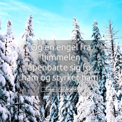 Picture 05 - Lukas 22:43 NORSK - Og en engel fra himmelen åpenbarte sig for ham - Bible Verse Picture
