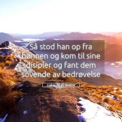 Picture 05 - Lukas 22:45 NORSK - Så stod han op fra bønnen og kom til sine - Bible Verse Picture