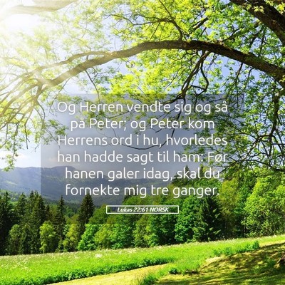 Picture 05 - Lukas 22:61 NORSK - Og Herren vendte sig og så på Peter; og Peter - Bible Verse Picture