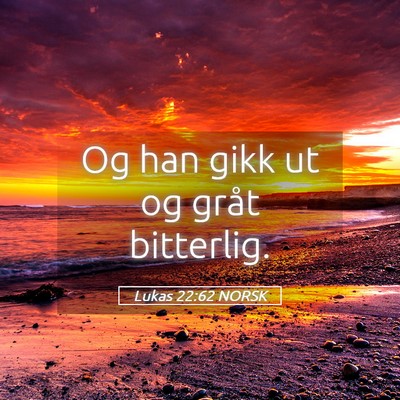 Picture 05 - Lukas 22:62 NORSK - Og han gikk ut og gråt - Bible Verse Picture