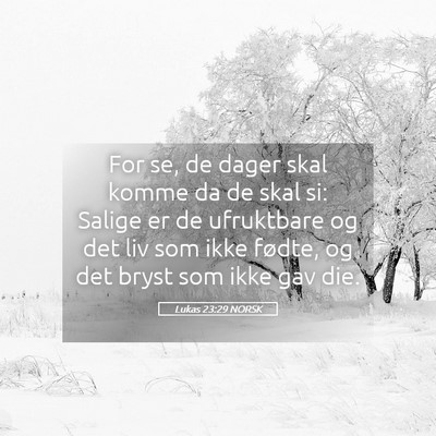 Picture 05 - Lukas 23:29 NORSK - For se, de dager skal komme da de skal si: Salige - Bible Verse Picture