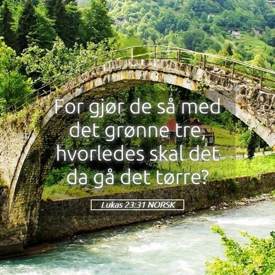Picture 05 - Lukas 23:31 NORSK - For gjør de så med det grønne tre, hvorledes - Bible Verse Picture