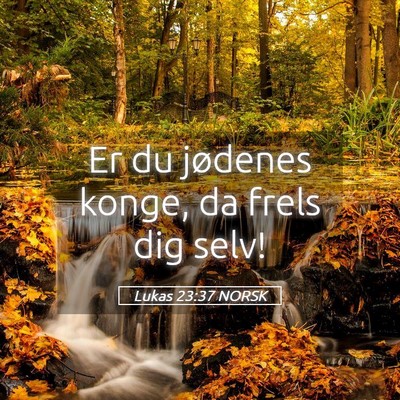 Picture 05 - Lukas 23:37 NORSK - Er du jødenes konge, da frels dig - Bible Verse Picture