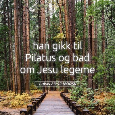 Picture 05 - Lukas 23:52 NORSK - han gikk til Pilatus og bad om Jesu - Bible Verse Picture