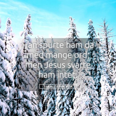Picture 05 - Lukas 23:9 NORSK - Han spurte ham da med mange ord; men Jesus svarte - Bible Verse Picture