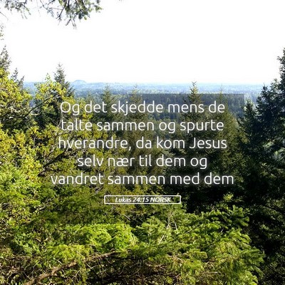 Picture 05 - Lukas 24:15 NORSK - Og det skjedde mens de talte sammen og spurte - Bible Verse Picture