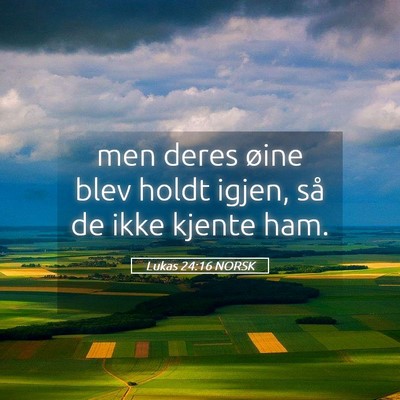 Picture 05 - Lukas 24:16 NORSK - men deres øine blev holdt igjen, så de ikke - Bible Verse Picture