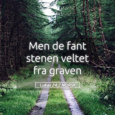 Picture 05 - Lukas 24:2 NORSK - Men de fant stenen veltet fra - Bible Verse Picture
