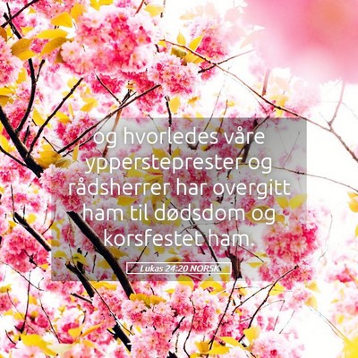 Picture 05 - Lukas 24:20 NORSK - og hvorledes våre yppersteprester og rådsherrer - Bible Verse Picture