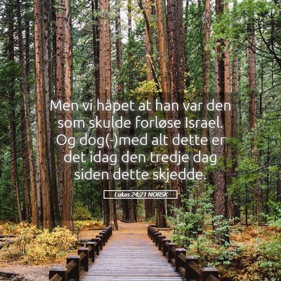 Picture 05 - Lukas 24:21 NORSK - Men vi håpet at han var den som skulde forløse - Bible Verse Picture