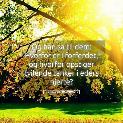 Picture 05 - Lukas 24:38 NORSK - Og han sa til dem: Hvorfor er I forferdet, og - Bible Verse Picture