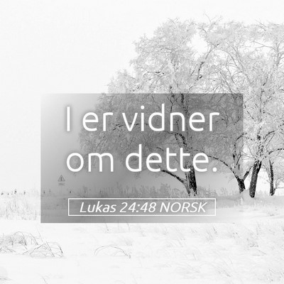 Picture 05 - Lukas 24:48 NORSK - I er vidner om - Bible Verse Picture
