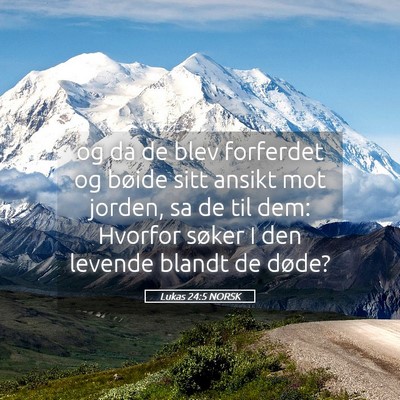 Picture 05 - Lukas 24:5 NORSK - og da de blev forferdet og bøide sitt ansikt mot - Bible Verse Picture