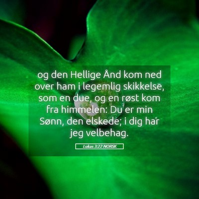 Picture 05 - Lukas 3:22 NORSK - og den Hellige Ånd kom ned over ham i legemlig - Bible Verse Picture
