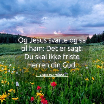 Picture 05 - Lukas 4:12 NORSK - Og Jesus svarte og sa til ham: Det er sagt: Du - Bible Verse Picture