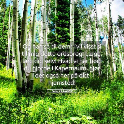 Picture 05 - Lukas 4:23 NORSK - Og han sa til dem: I vil visst si til mig dette - Bible Verse Picture