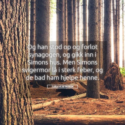 Picture 05 - Lukas 4:38 NORSK - Og han stod op og forlot synagogen, og gikk inn i - Bible Verse Picture