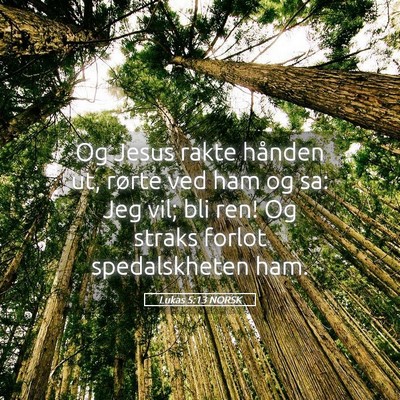 Picture 05 - Lukas 5:13 NORSK - Og Jesus rakte hånden ut, rørte ved ham og sa: - Bible Verse Picture