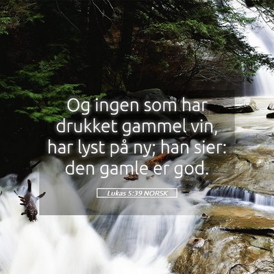 Picture 05 - Lukas 5:39 NORSK - Og ingen som har drukket gammel vin, har lyst på - Bible Verse Picture