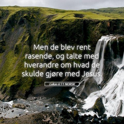 Picture 05 - Lukas 6:11 NORSK - Men de blev rent rasende, og talte med hverandre - Bible Verse Picture